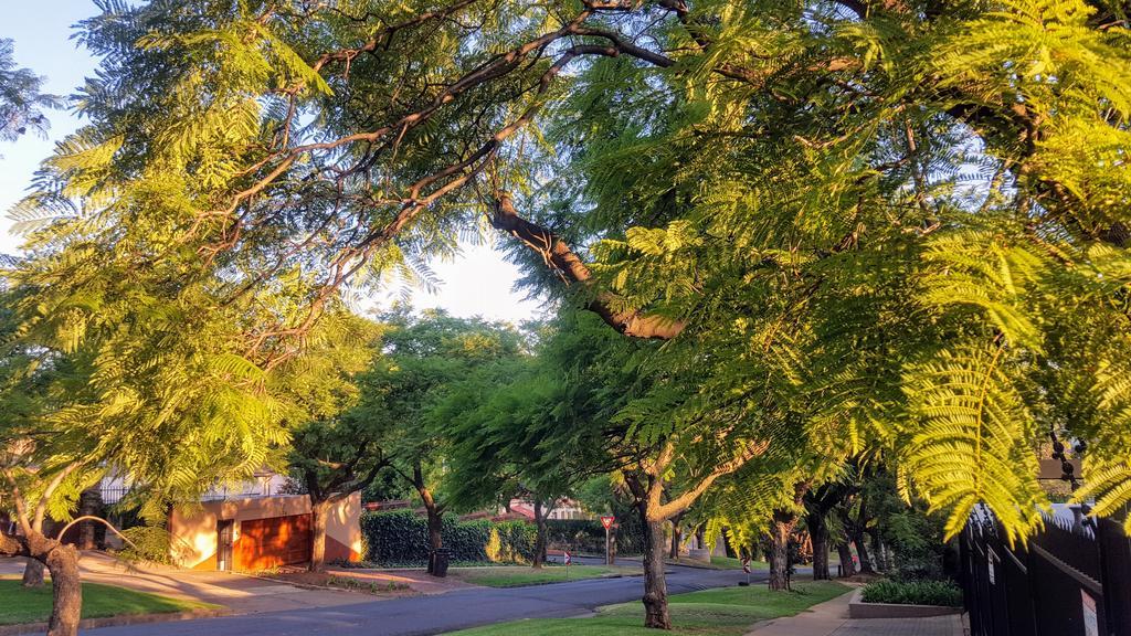 800@Merton Pretoria Exterior foto